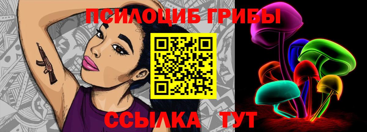 Псилоцибиновые грибы Cubensis  Вход с VPN  Тольятти 